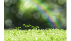 取手なかじま内科リウマチ科・歯科クリニック