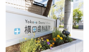 医療法人社団楡真会横田歯科医院　医療法人社団楡真会横田歯科医院